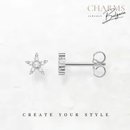 Малка сребърна звезда