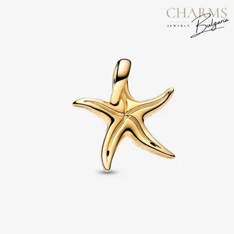 Звезда в океана