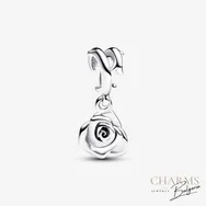 Несравнима