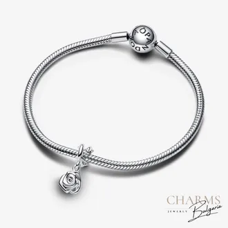 Несравнима